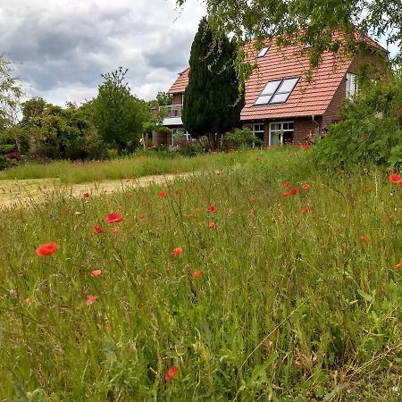 Haus Rosengarten- Ruhige Ferienwohnungen im Grünen Sehlen Exterior foto