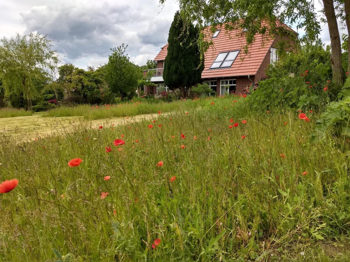 Haus Rosengarten- Ruhige Ferienwohnungen im Grünen Sehlen Exterior foto